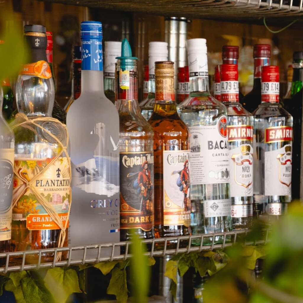 Variety of Liqueurs Displayed at Jungle Joy Bar