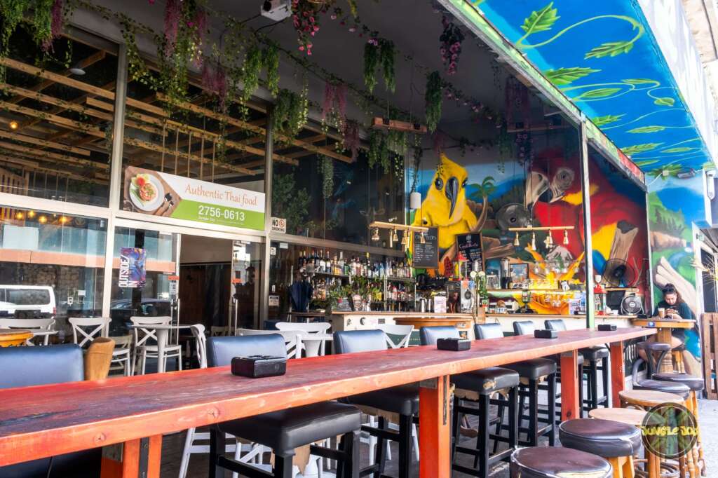 Enchanting Outdoor Setting at Jungle Joy Venue: Hanging Plants, Artistic Animal Murals, Abundant Seating, and a Well-Stocked Bar.